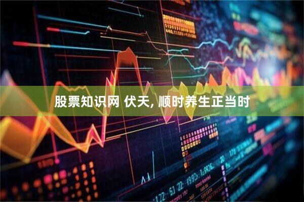 股票知识网 伏天, 顺时养生正当时