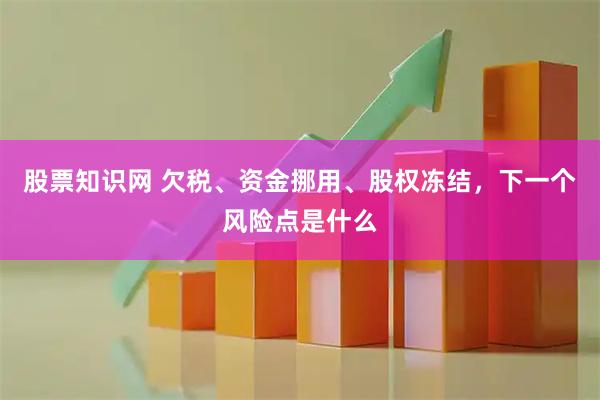 股票知识网 欠税、资金挪用、股权冻结，下一个风险点是什么