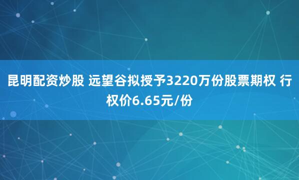 昆明配资炒股 远望谷拟授予3220万份股票期权 行权价6.65元/份