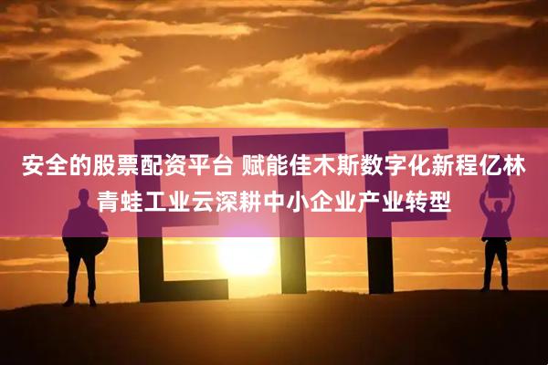 安全的股票配资平台 赋能佳木斯数字化新程亿林青蛙工业云深耕中小企业产业转型